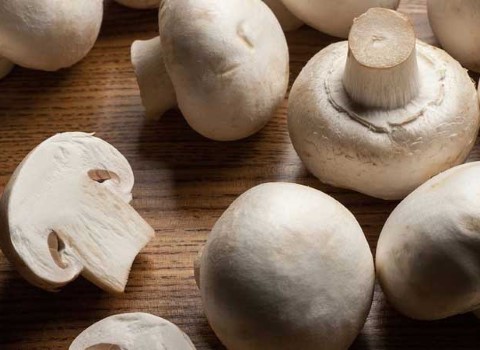 تصویر 1 از قیمت خرید قارچ دکمه ای بزرگ + فروش ویژه